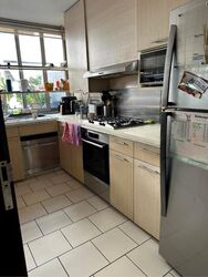 The Teneriffe (D10), Terrace #527976731